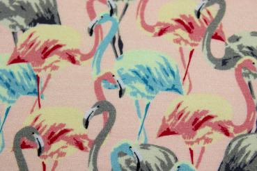 Modal - Flamingo - apricot-rosa